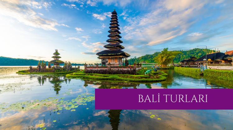BALİ TURLARI